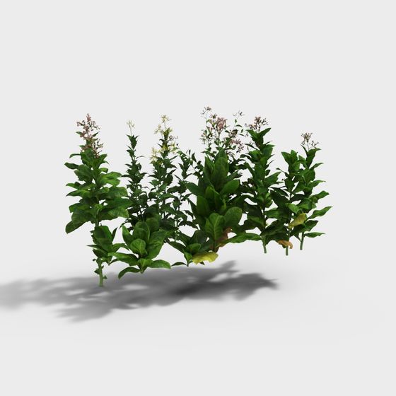 Vibrant Garden Plant Cluster 3D model for Creative Projects