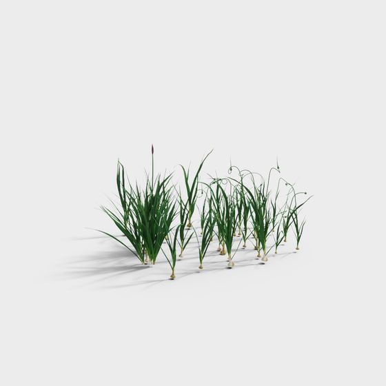 Vibrant Grass 3D model for Creative Projects