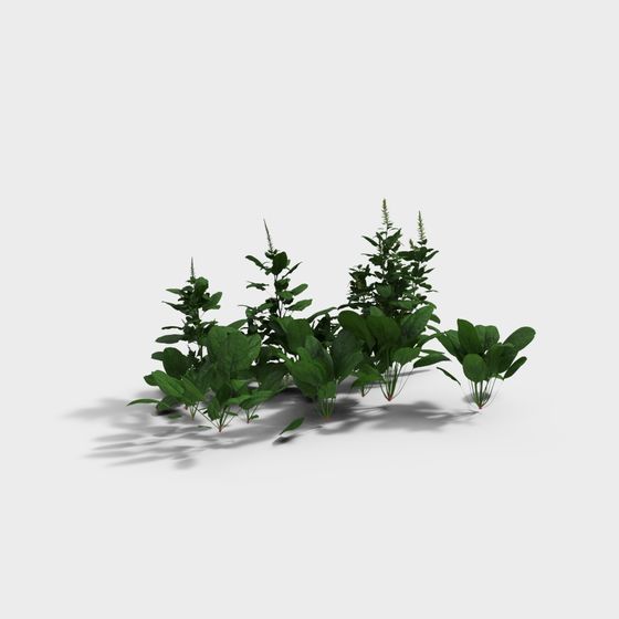 Forest Vitality 3D model