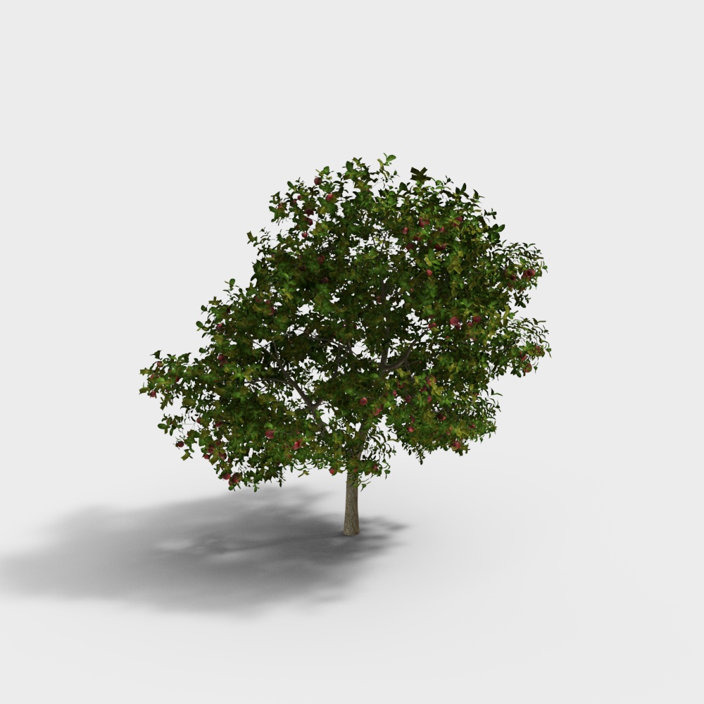 Realistic Apple Tree 3D Model for Creative Projects