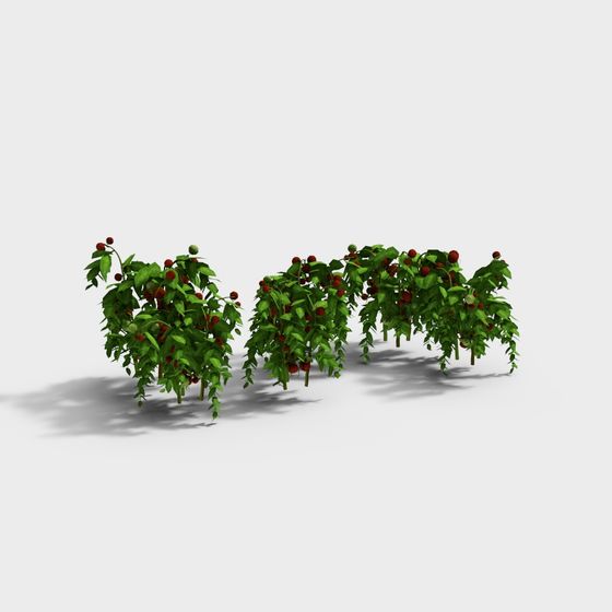 Lush Vining Fruit Cluster 3D model