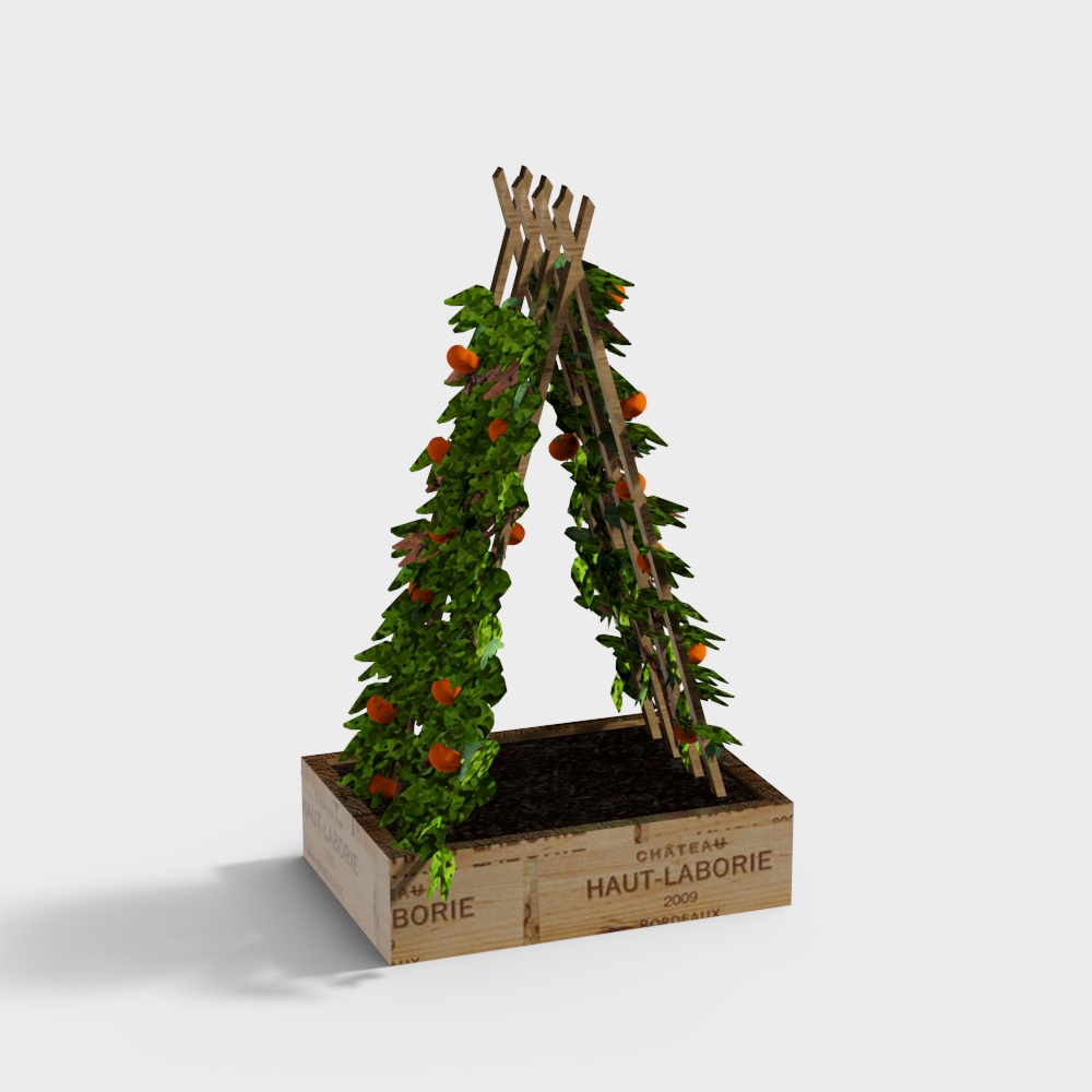 Vegetable Planting Box