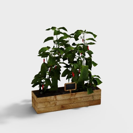 Realistic Pepper Planting Box 3D model
