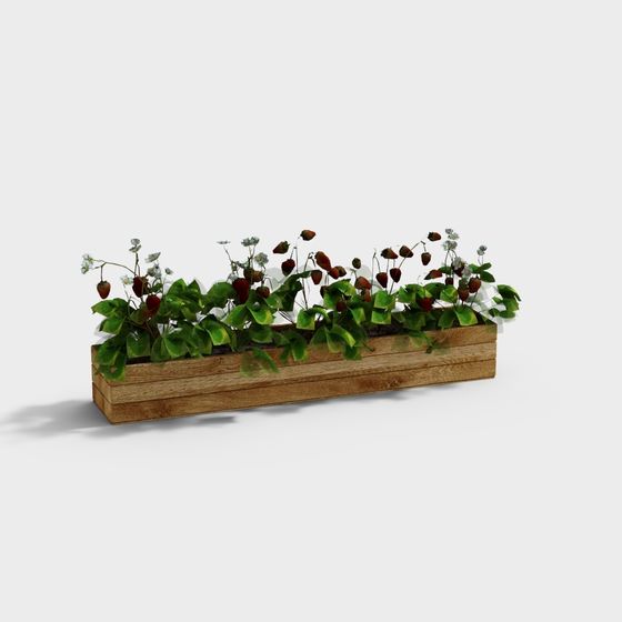 Wooden Planter Strawberry Growing Area 3D model