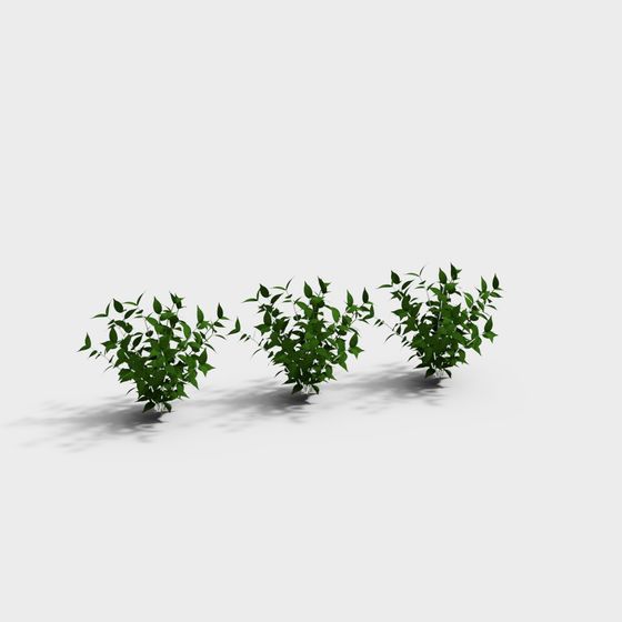Vibrant Green Plant 3D Model Collection