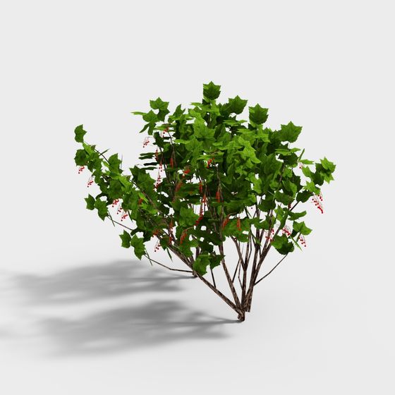Realistic Creeping Shrub 3D model for Outdoor Scenes