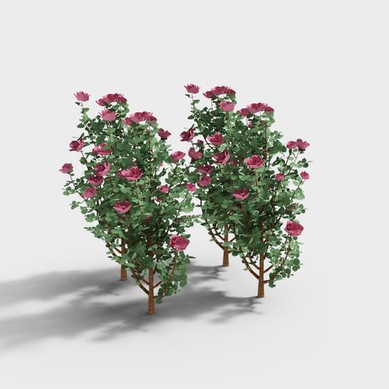Vibrant Low-Poly Rose Bush 3D model for Gardens