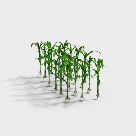 Realistic Cornfield 3D Model