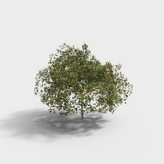 Lively Apple Tree 3D Model for Creative Projects