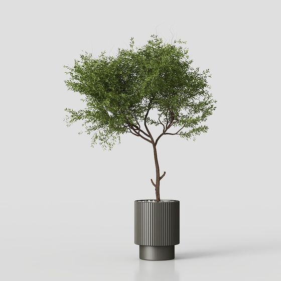 City Oasis Low Poly 3D Model