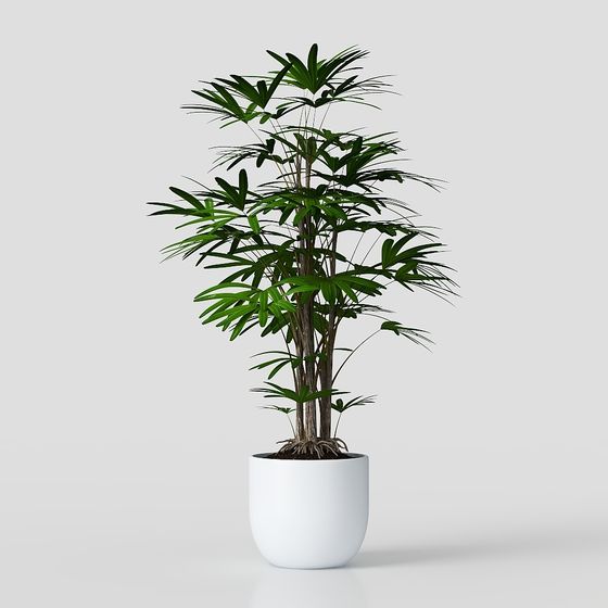 พืชสีเขียว