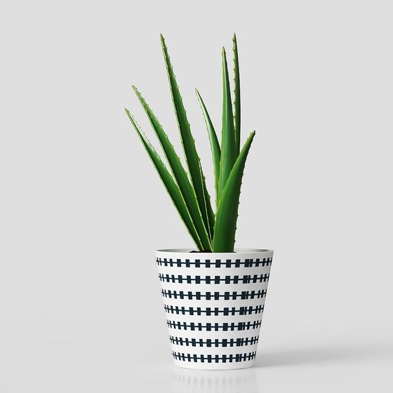 Desert Oasis: Stylish Aloe Plant 3D model for Design