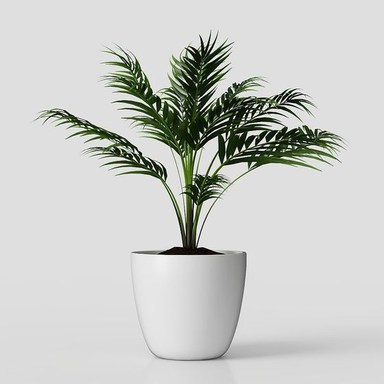 Stylish Indoor Plant 3D Model for Modern Design