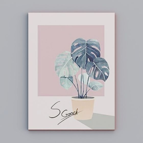 Monstera Plant 3D model