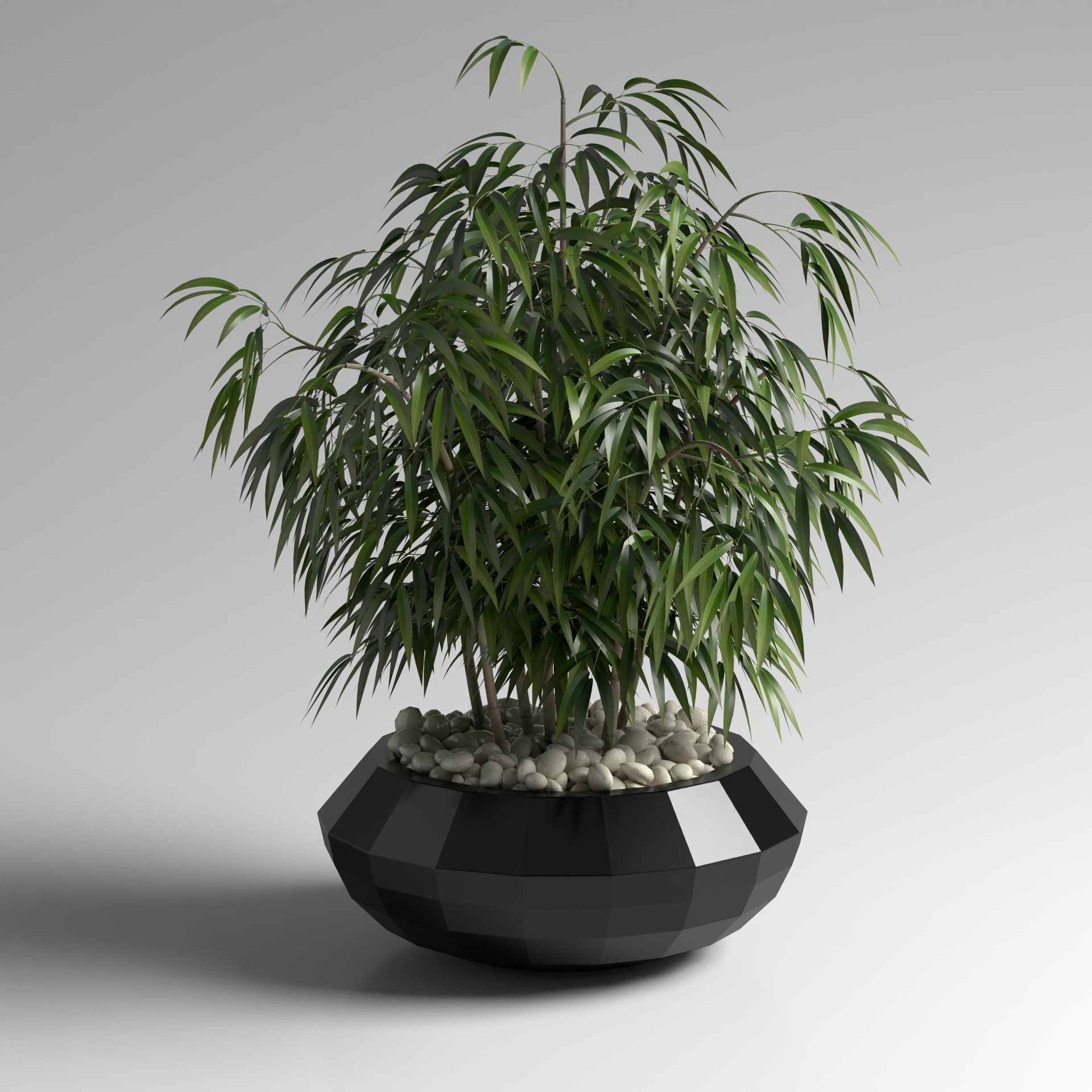 Bonsai with Bamboo Leaves