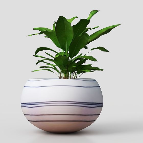 Stylish Indoor Green Plant Pot 3D model