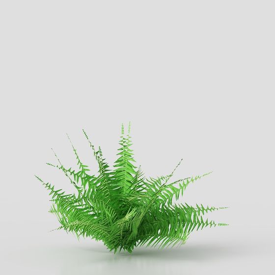 Fern Bush Low-Poly 3D Model for Creative Projects