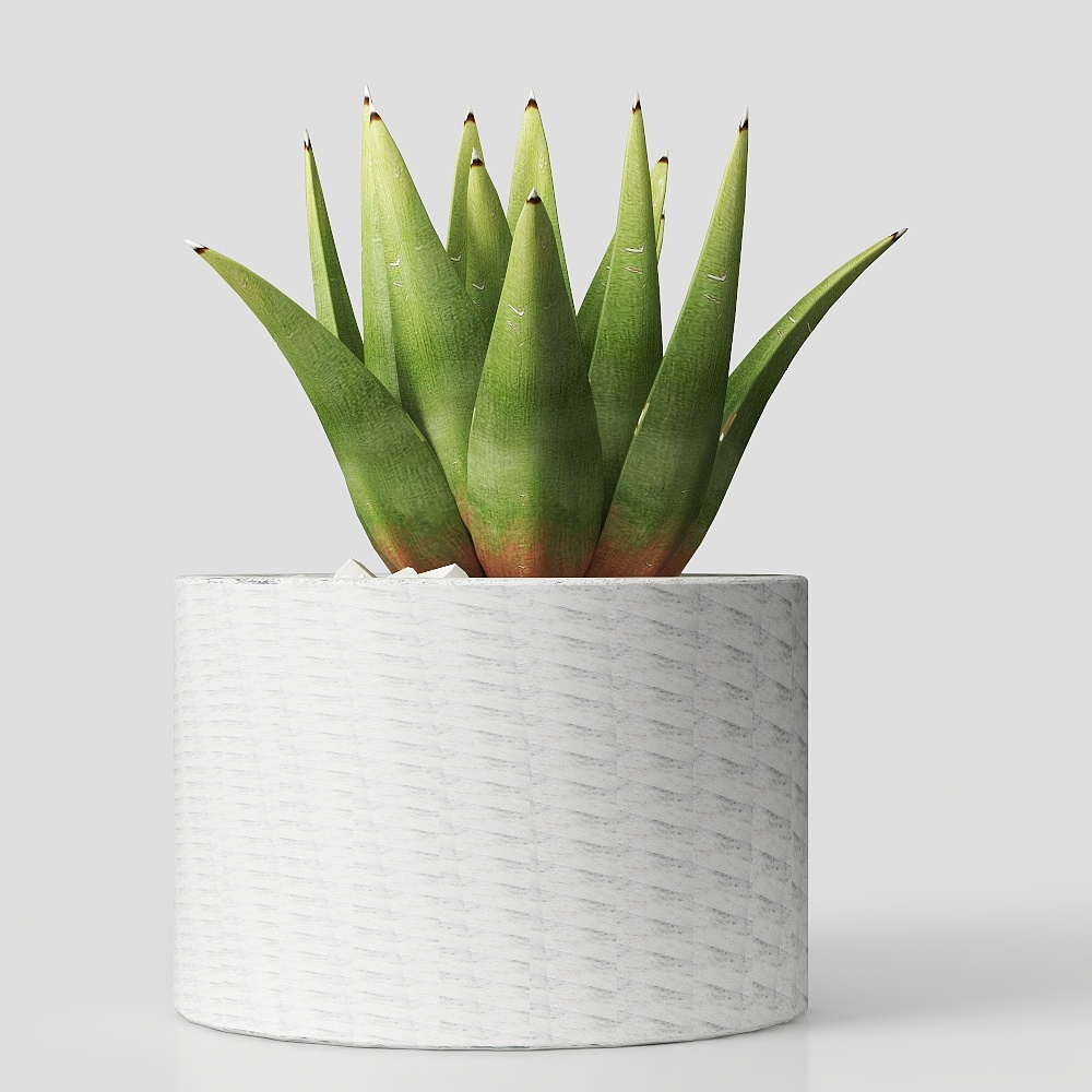 Desert Oasis 3D Model