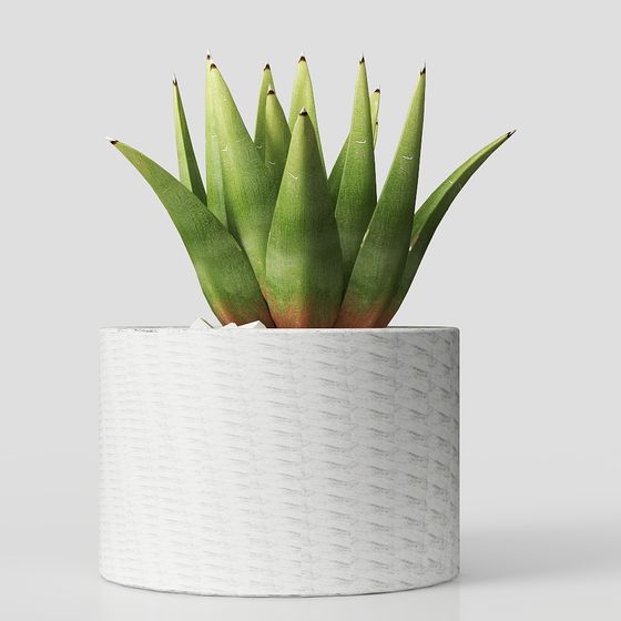 Desert Oasis 3D Model for Creative Projects