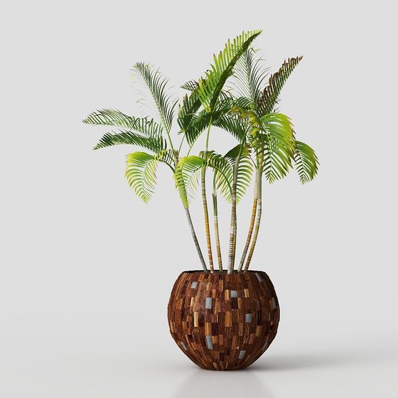 Tropical Potted Plant 3D model for Creative Projects