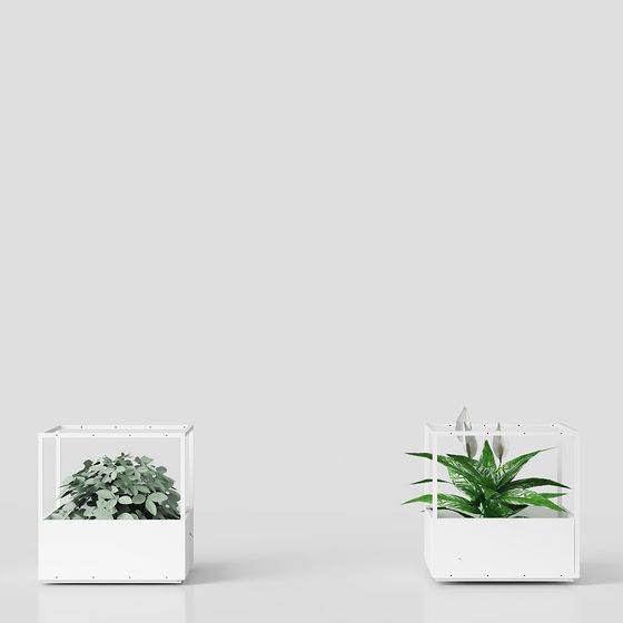 Rejilla+con+planta+en+maceta