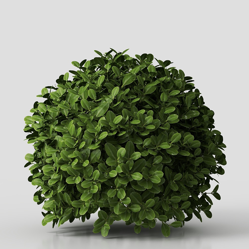 Dome-shaped Green Plant 3D Model