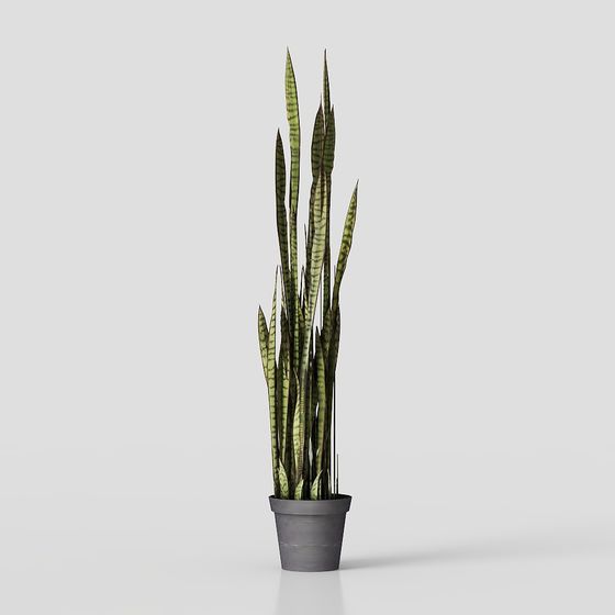 Lively Snake Plant 3D Model for Modern Designs