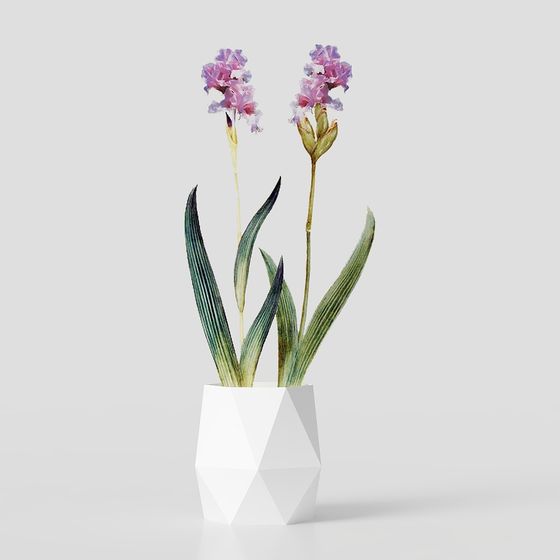 Vase with Iris Flowers Low-Poly 3D model for Creative Use