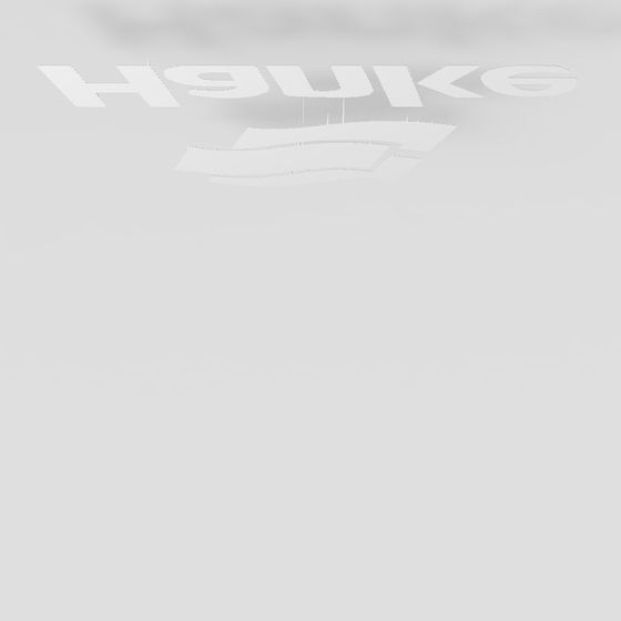 Hawk 3D Model - Low Poly and High Detail