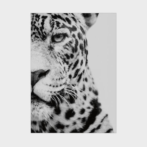 Vivid Jaguar 3D Model for Creative Projects