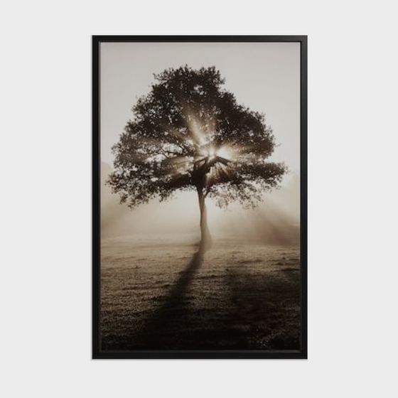 Elegant Low Poly Tree 3D model for Creative Projects