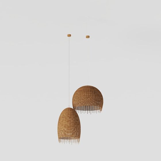 Natural-Inspired Pendant Light 3D model
