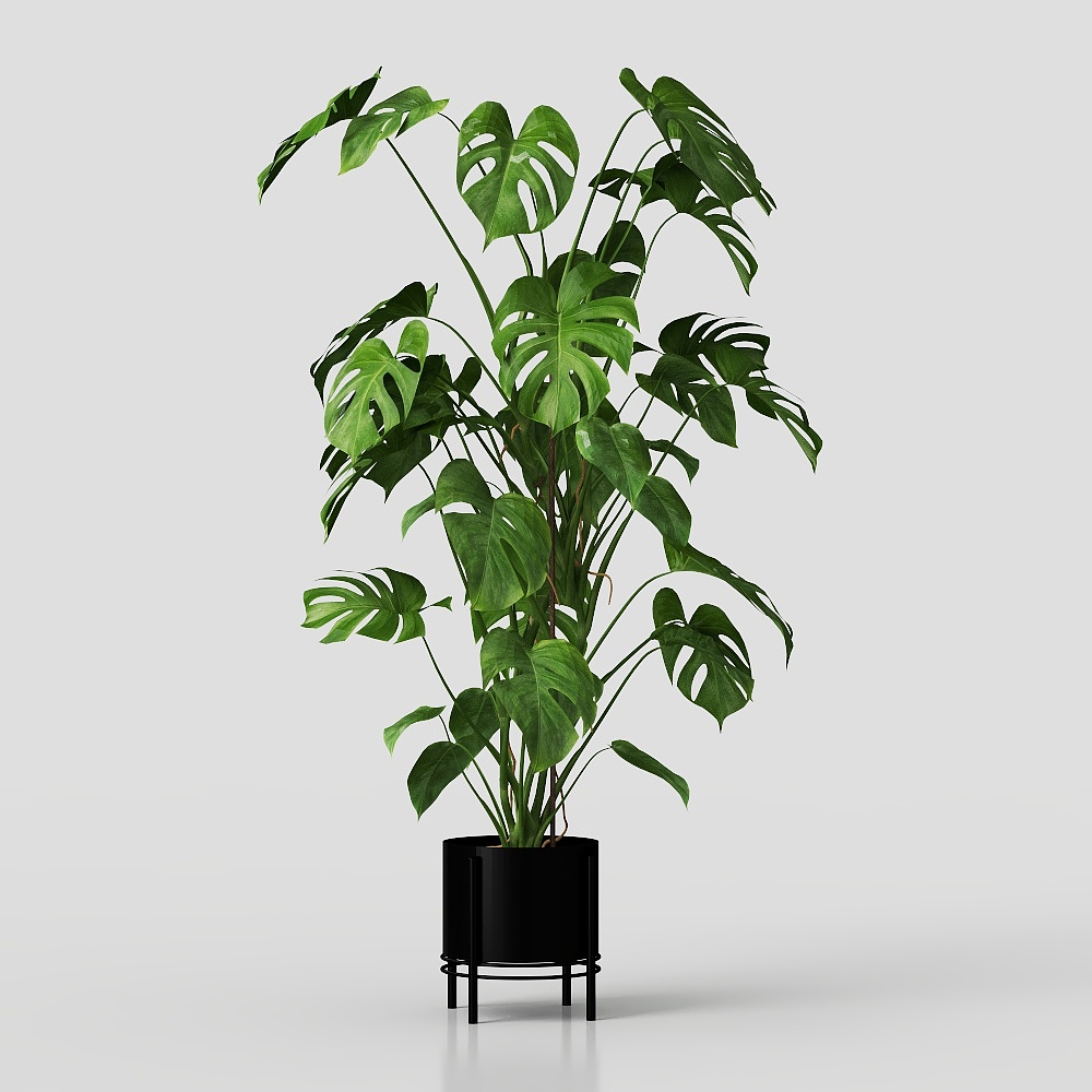 Monstera artificial de 1800mm