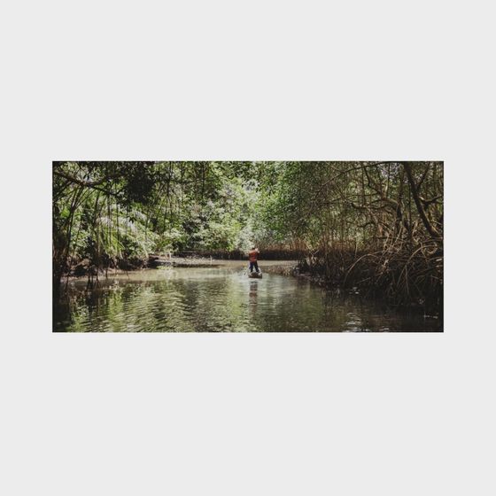 Jungle Adventure 3D Model