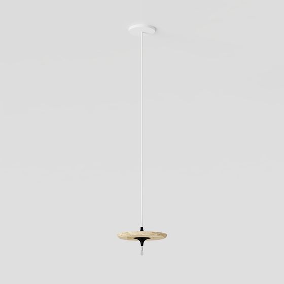 Modern Minimalist Pendant Light 3D model