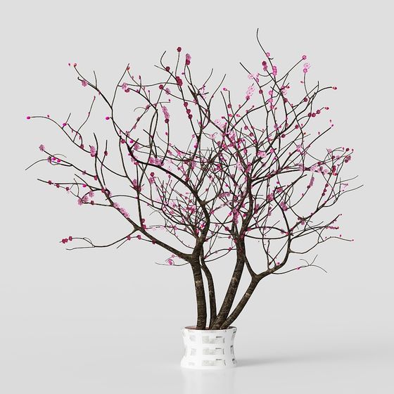 Realistic Plum Blossom Tree 3D model for Creative Projects