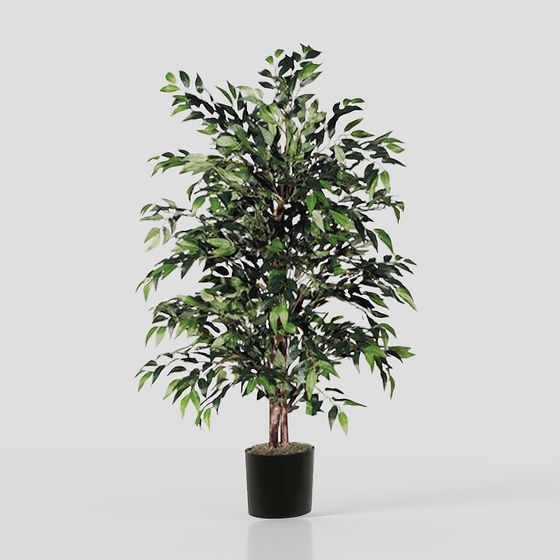Realistic Indoor Plant 3D Model