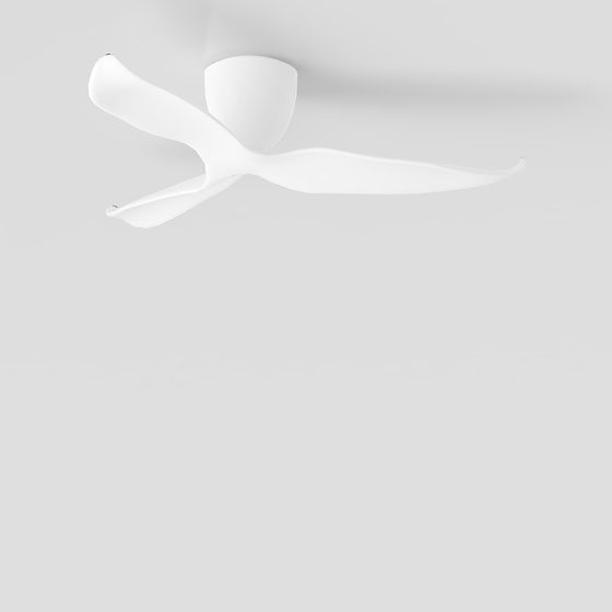 에라트론+팬+화이트