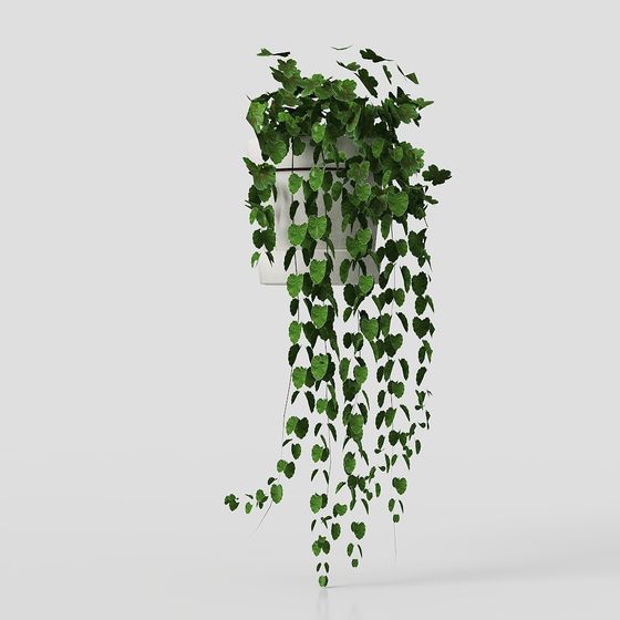 Hanging Plant 3D model for Designers and Developers