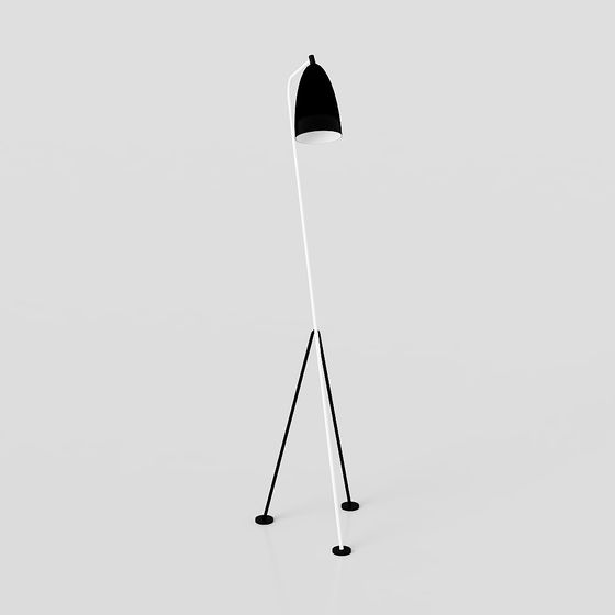 Minimalist Floor Lamp 3D model for Contemporary Spaces