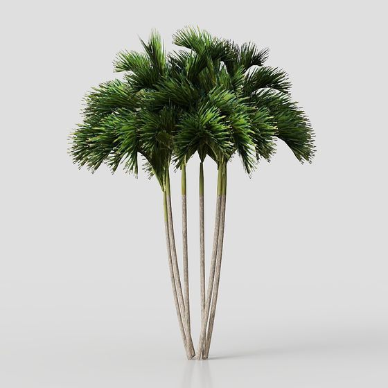 Palm Tree Jungle 3D model