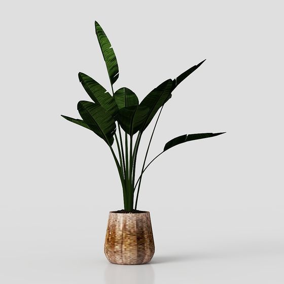Indoor Green Plant Pot 3D model