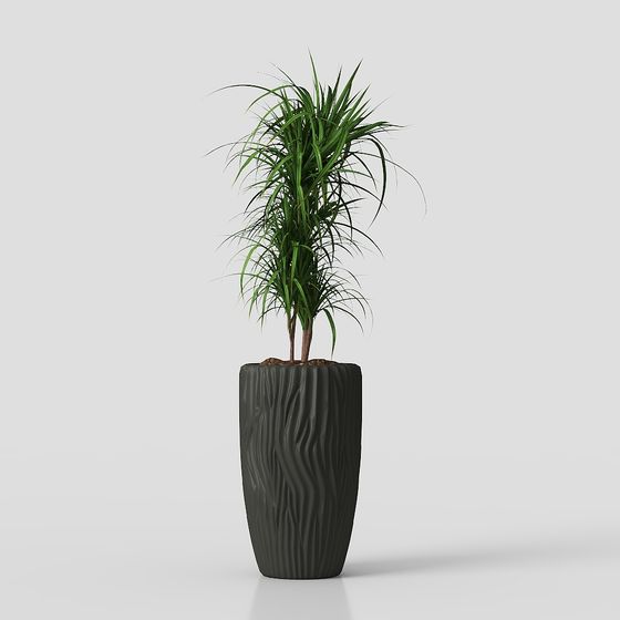 Urban Oasis Low-Poly Plant Pot 3D model