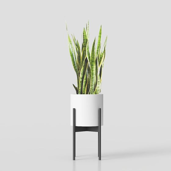 Urban Green Plant Pot 3D model