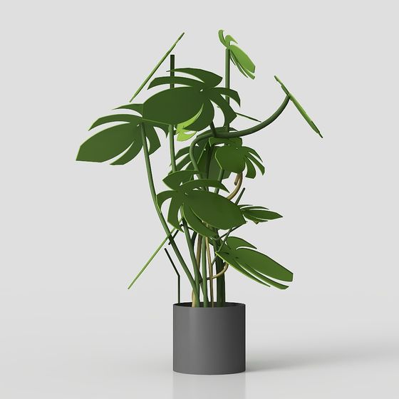 Monstera Plant 3D Model