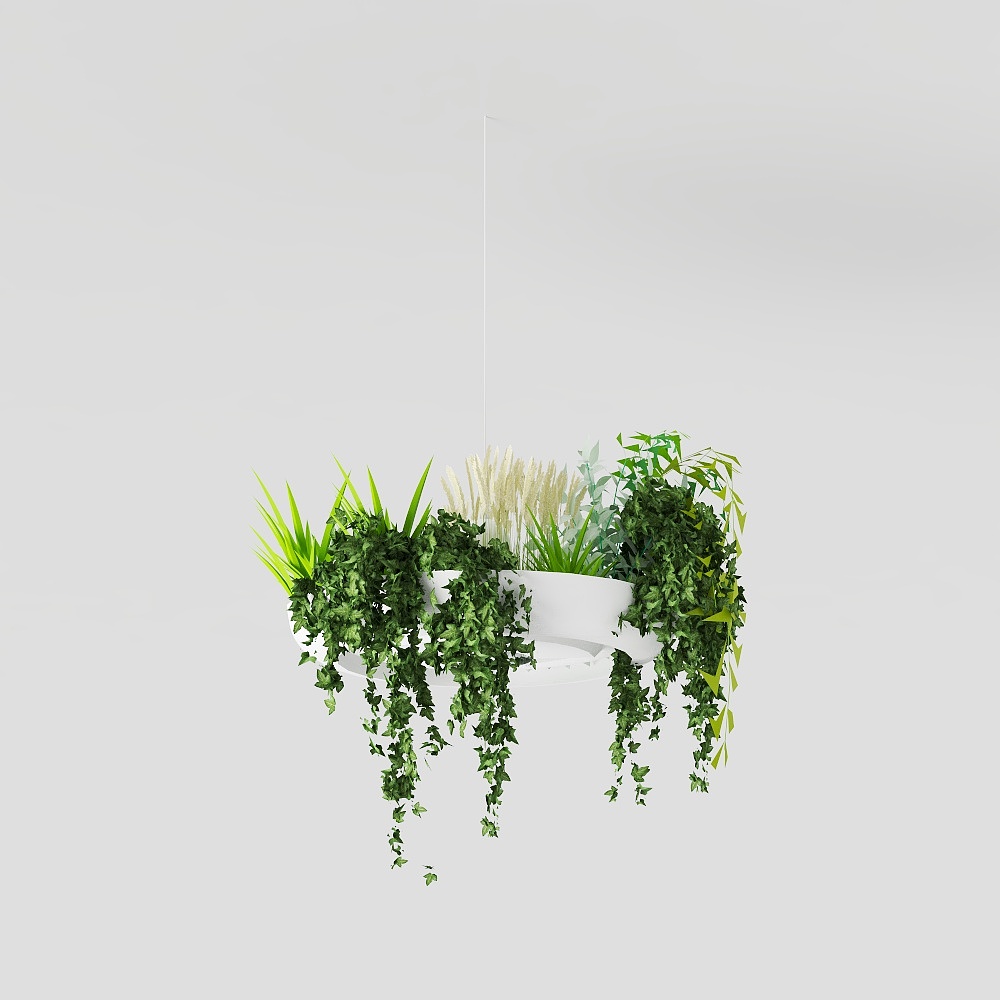 Realistic Hanging Plant Basket 3D model