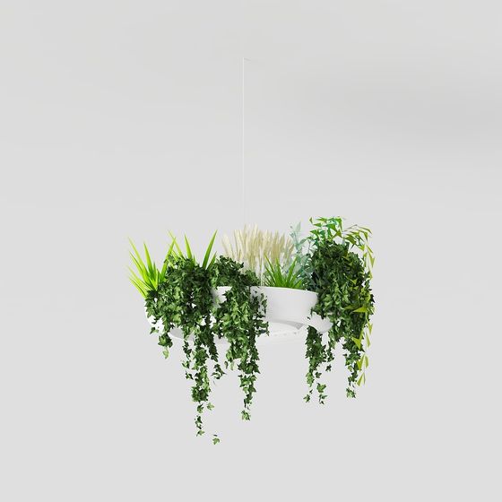 Realistic Hanging Plant Basket 3D model