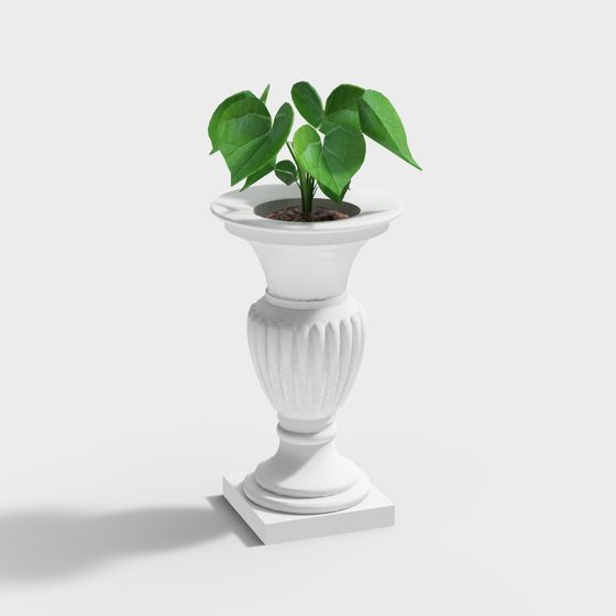 Elegant Vase and Green Plant 3D model