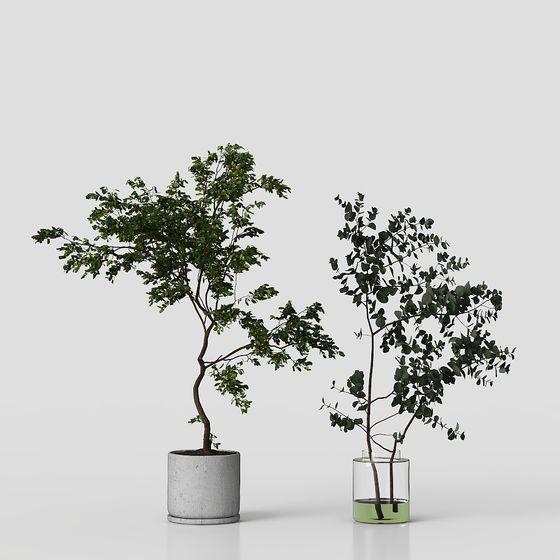 Modern Low-Polygon Plant Set 3D Model