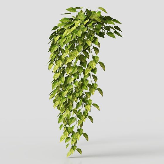 Hanging Plant 3D Model - Low Poly & High Detail